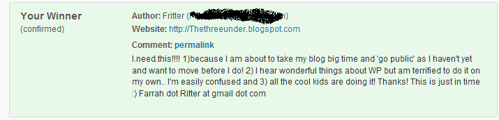 wordpress winner4