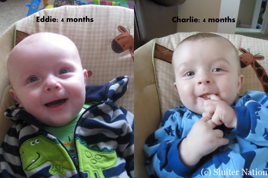 4 month compare